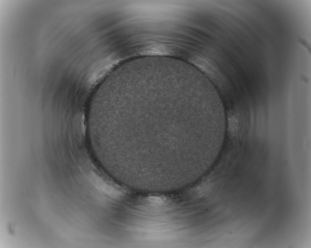 X0000102410302200808221917