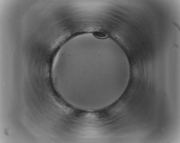 X0000102410303200808221917