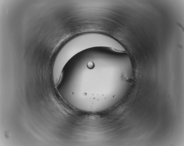 X0000102410304200808221917