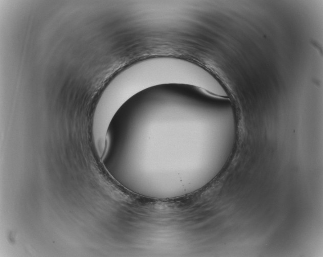 X0000102410305200808221917