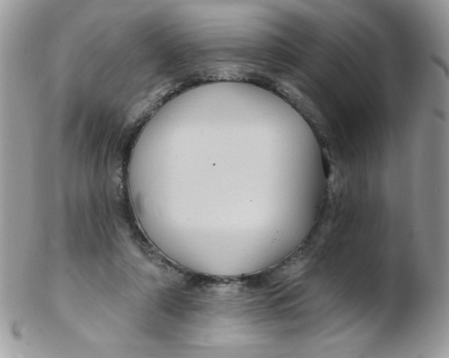 X0000102410306200808221917