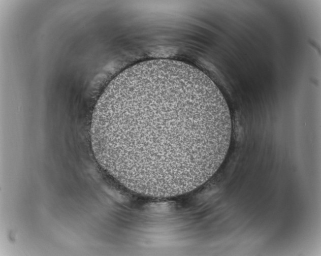 X0000102410307200808221917