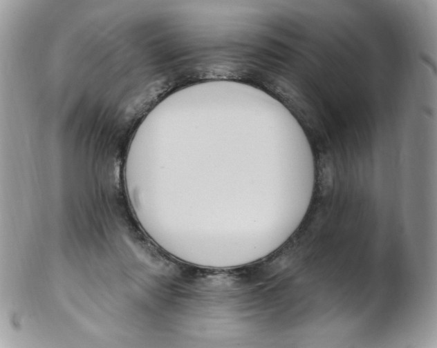 X0000102410310200808221917