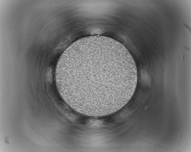 X0000102410311200808221917