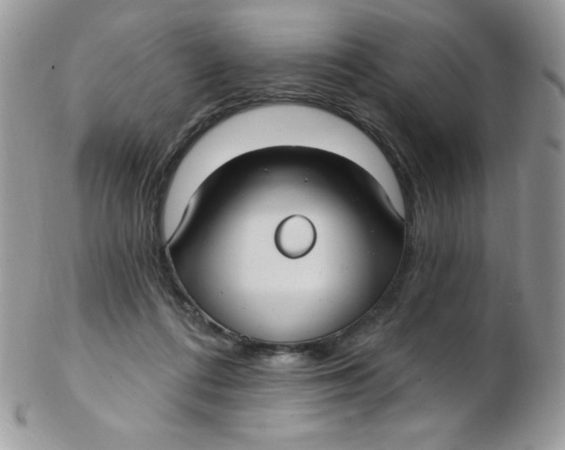 X0000102410312200808221917