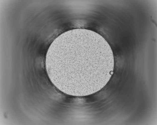 X0000102410313200808221917