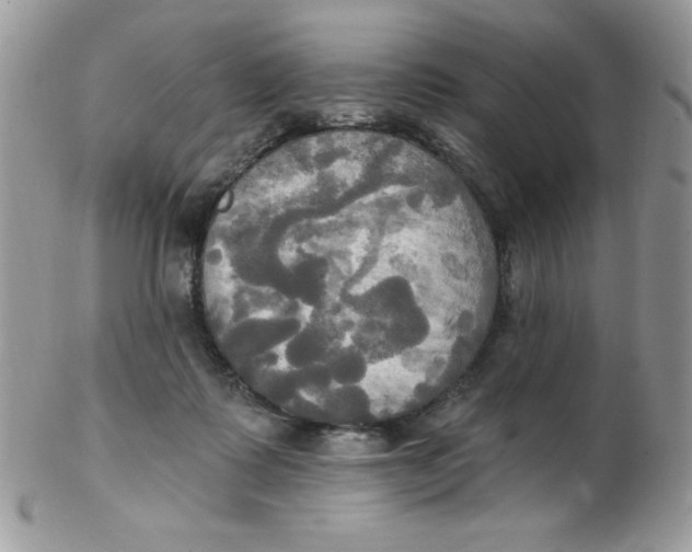 X0000102410315200808221917