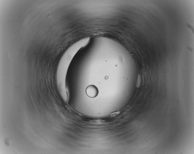 X0000102410316200808221917