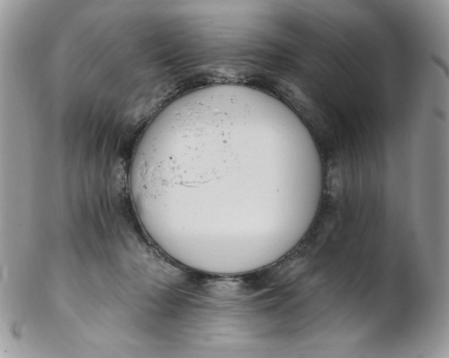 X0000102410318200808221917