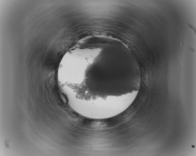 X0000102410319200808221917