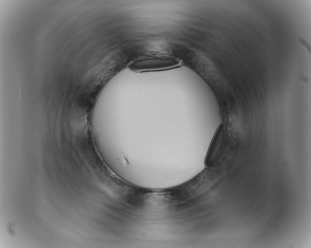 X0000102410320200808221917