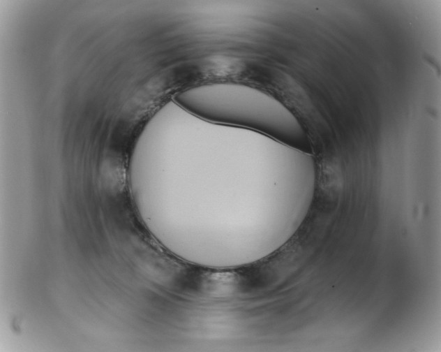 X0000102410324200808221917