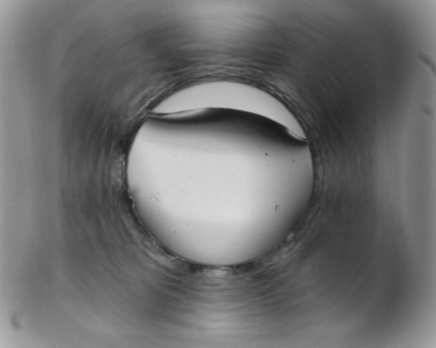 X0000102410325200808221917