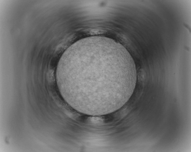 X0000102410327200808221917