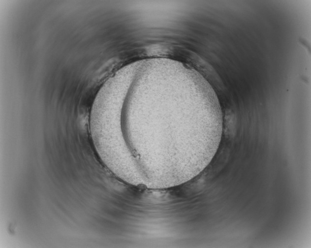 X0000102410329200808221917