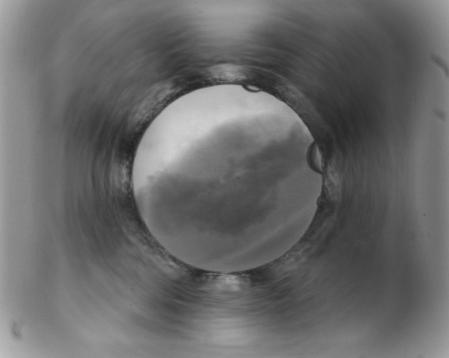 X0000102410330200808221917