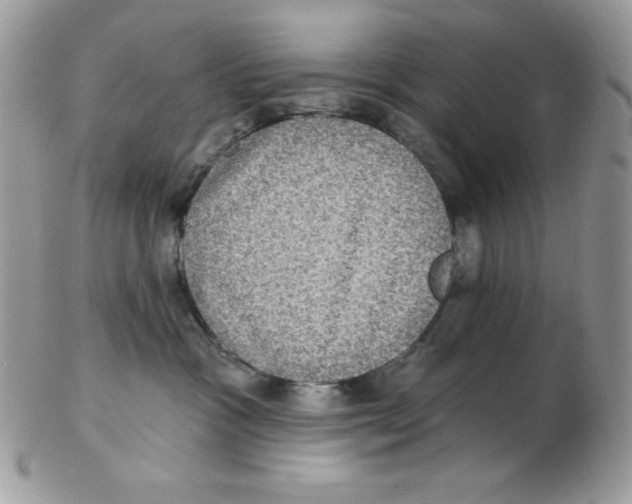 X0000102410333200808221917