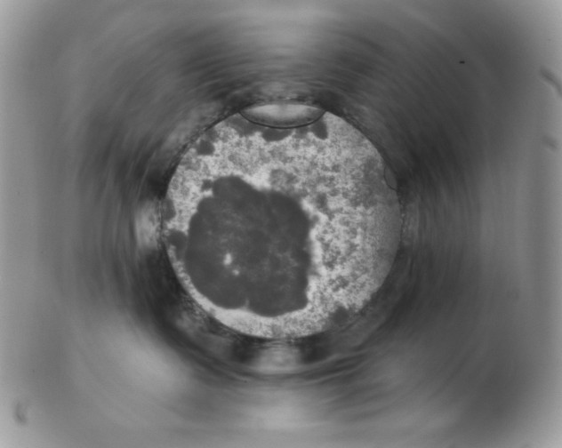 X0000102410335200808221917