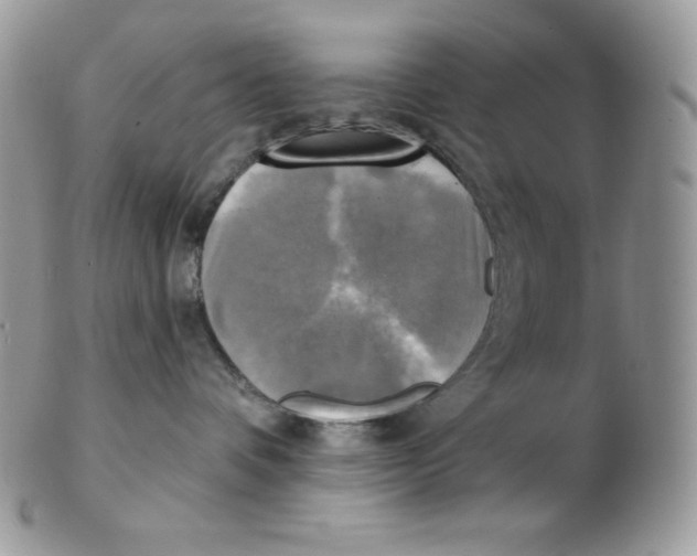 X0000102410336200808221917