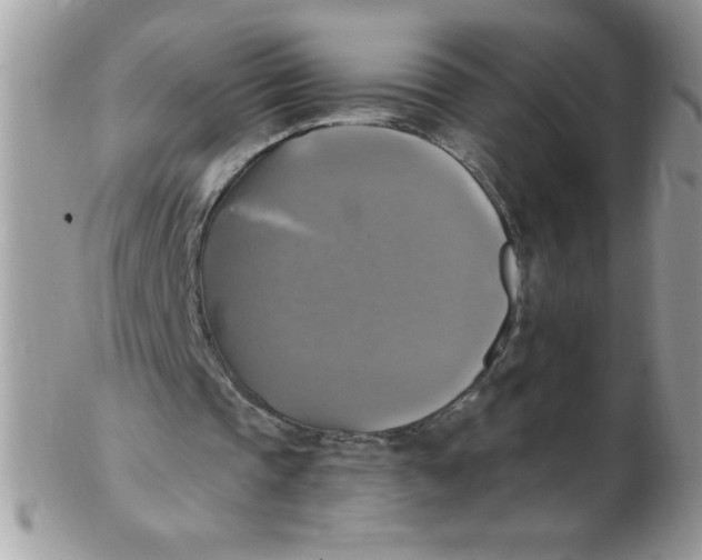 X0000102410337200808221916