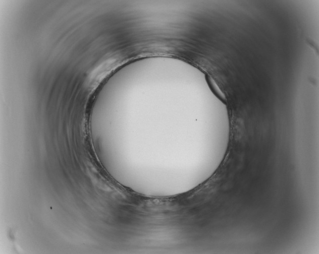 X0000102410338200808221916