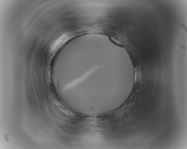 X0000102410339200808221916