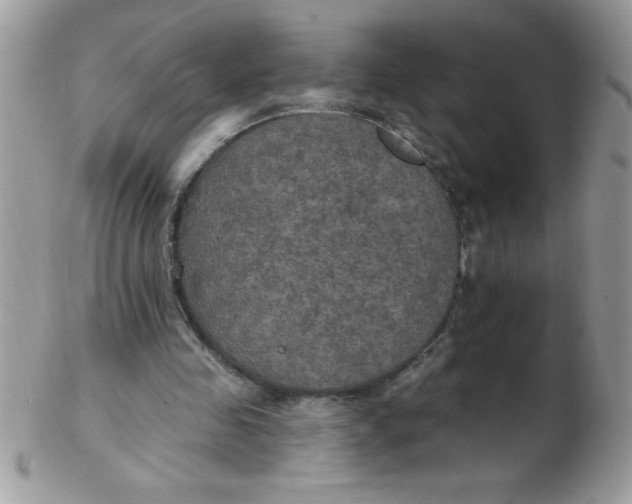 X0000102410341200808221916