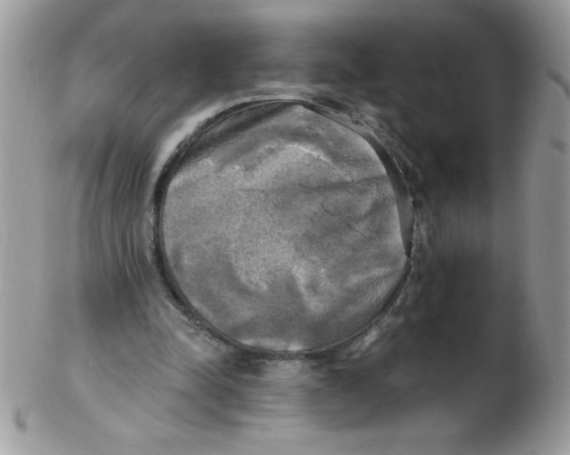 X0000102410342200808221916