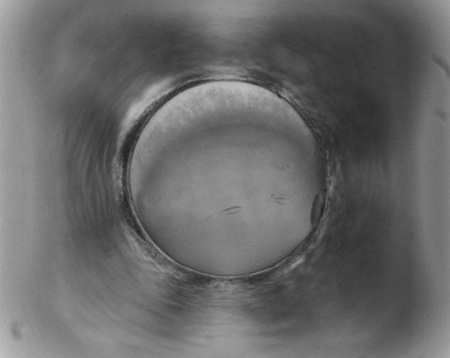 X0000102410343200808221916