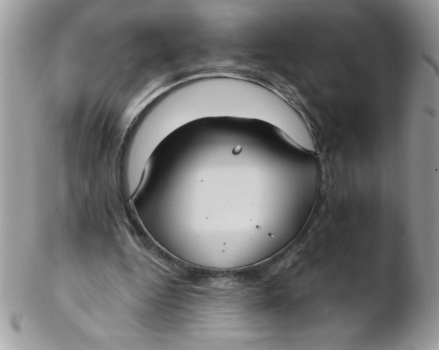 X0000102410344200808221916