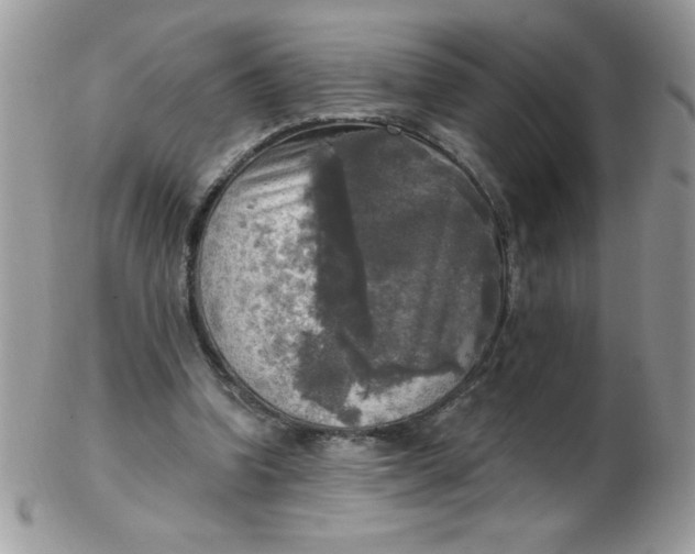 X0000102410346200808221916