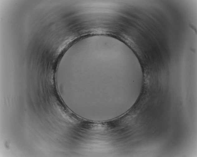 X0000102410347200808221916