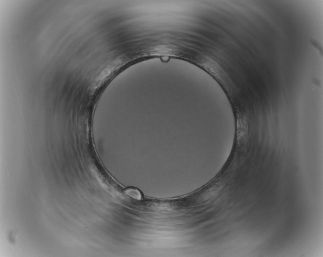 X0000102410349200808221916