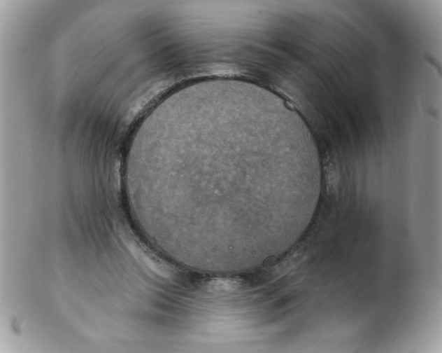 X0000102410350200808221916