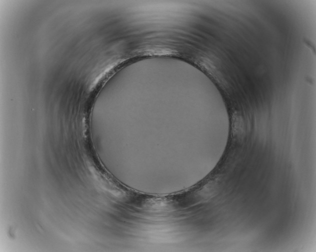 X0000102410351200808221916