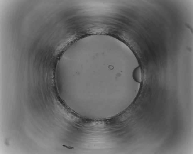 X0000102410353200808221916