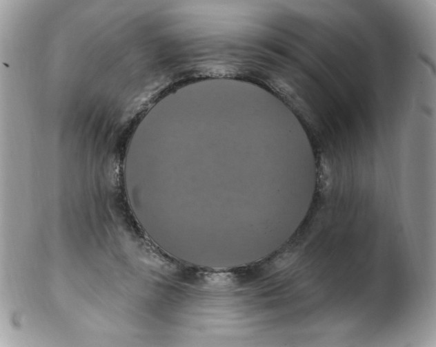 X0000102410355200808221916