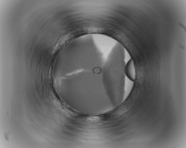 X0000102410357200808221916