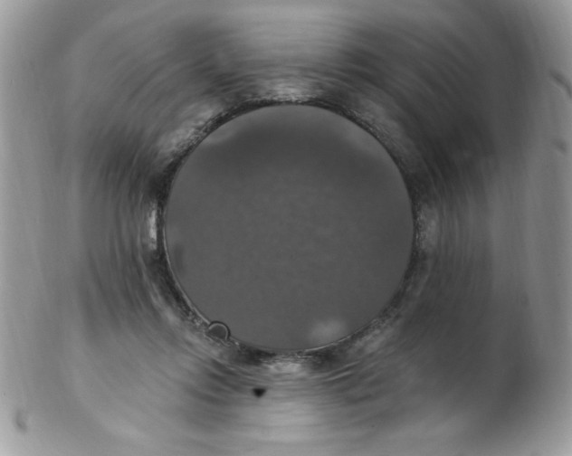 X0000102410358200808221916