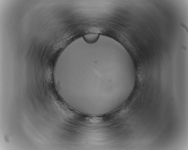 X0000102410359200808221917