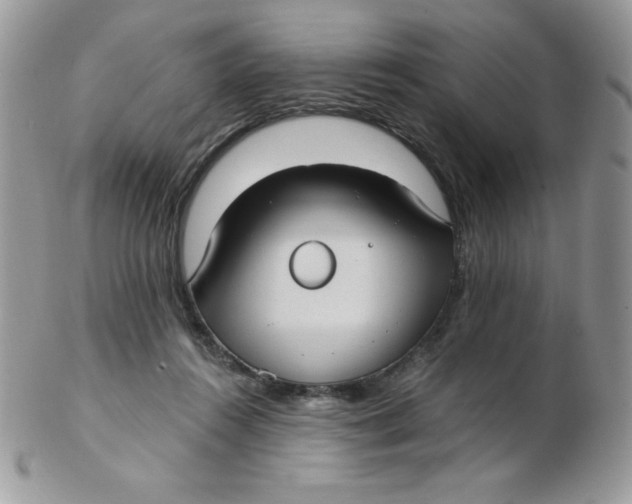 X0000102410360200808221917