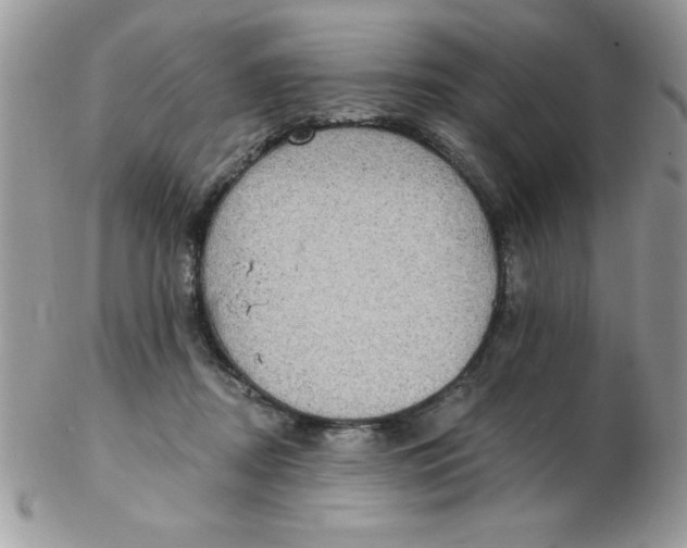 X0000102410362200808221917