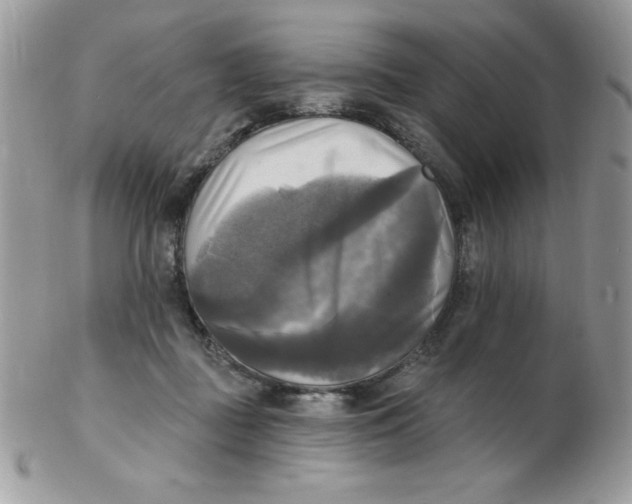 X0000102410363200808221917