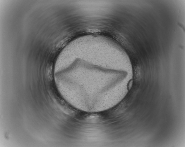 X0000102410364200808221917