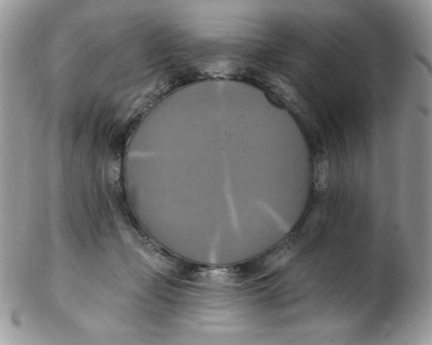 X0000102410365200808221917