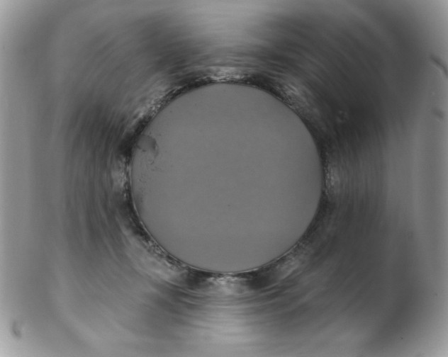 X0000102410367200808221917