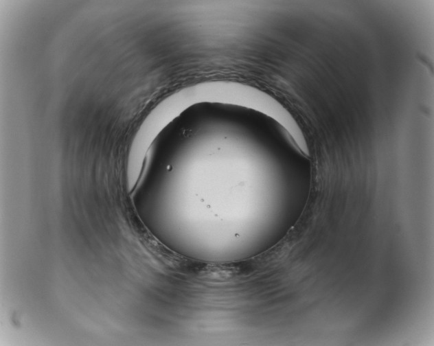 X0000102410368200808221917