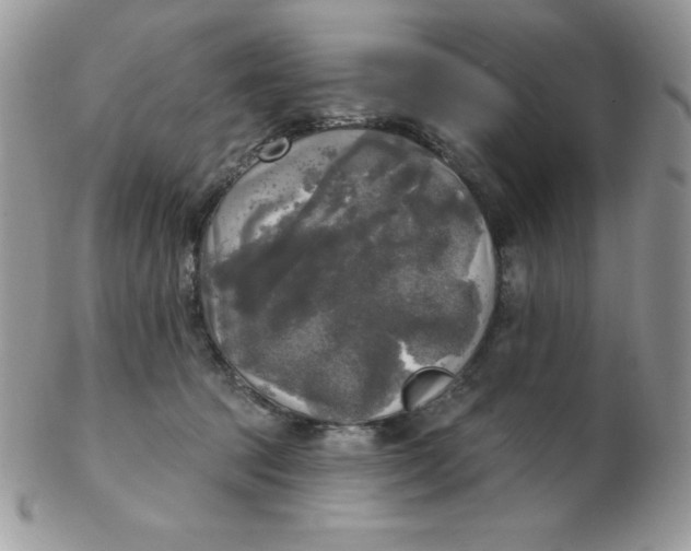 X0000102410369200808221917