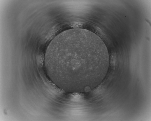 X0000102410370200808221917