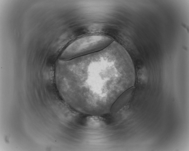 X0000102410372200808221917